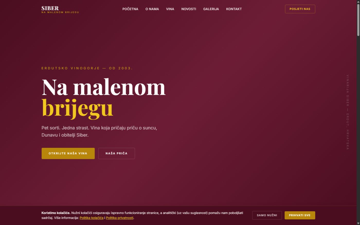 Vina Siber – Redizajn (v2) — TabarDI portfolio projekt